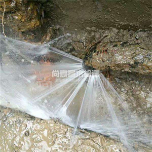 市北消防管道漏水检测